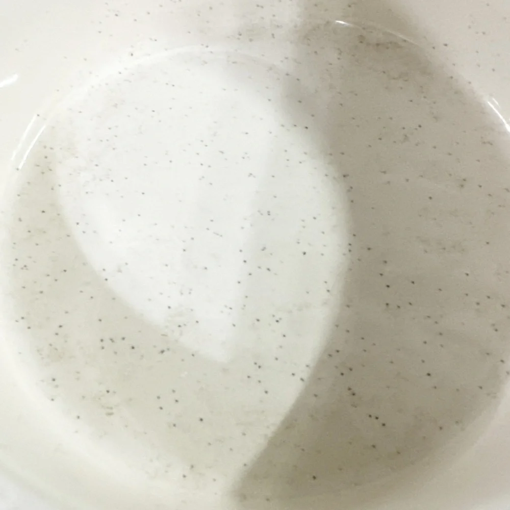 NEW Rae Dunn JOY Small Speckled Christmas Bowl 🎄🎄🎄